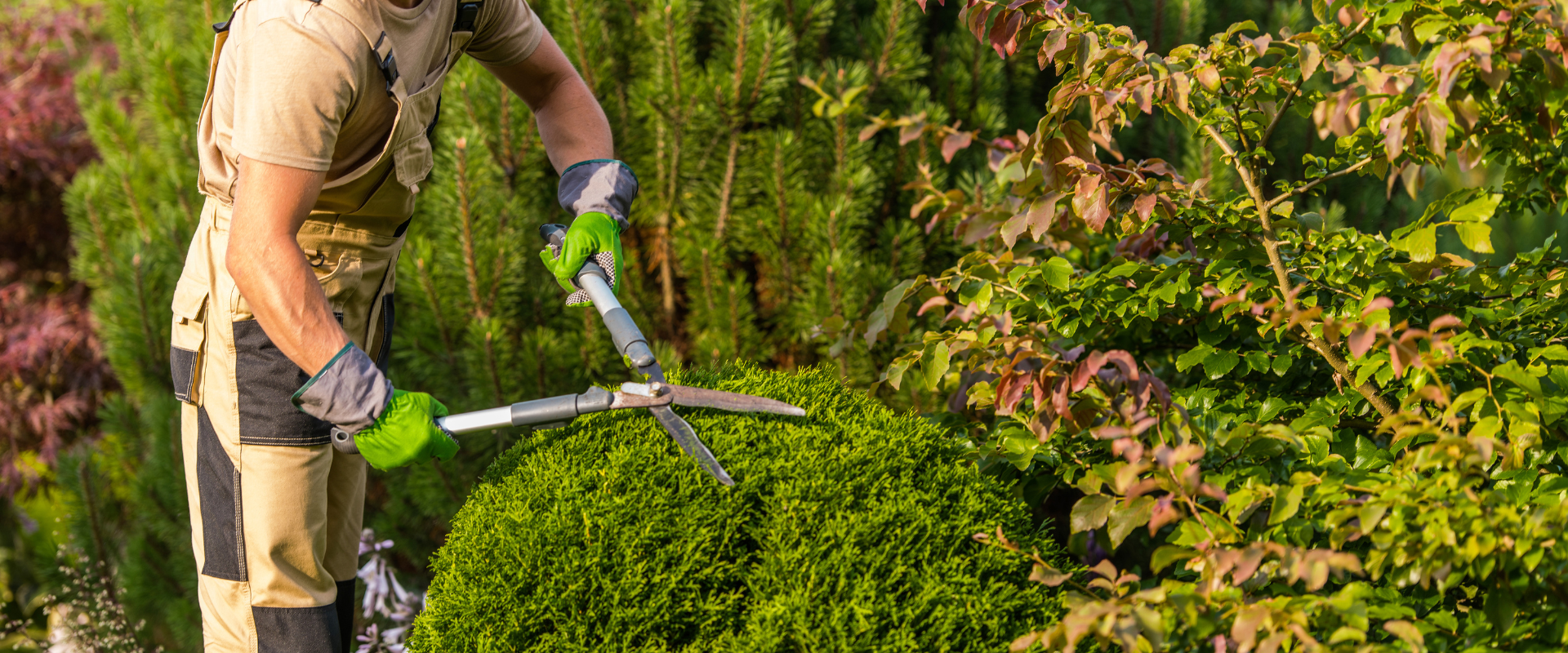 The Home Builders, ca